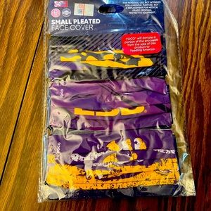 Small pleated face mask.